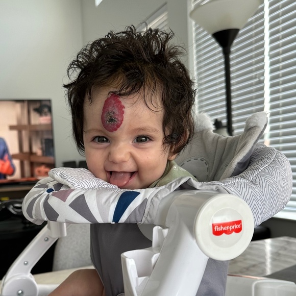 Meet your Posher, Avery - Picture 2 of 2